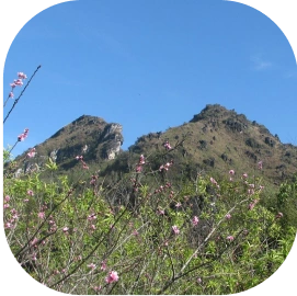 Ham Rong Mountain