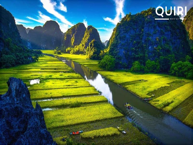 Rice Fields in Ninh Binh