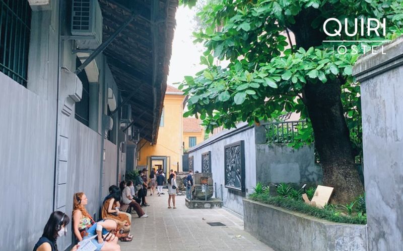 Discover a living symbol of hope growing from hardship.