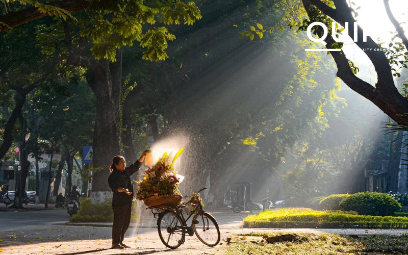 Discover Hanoi Autumn streets filled with golden leaves and light.