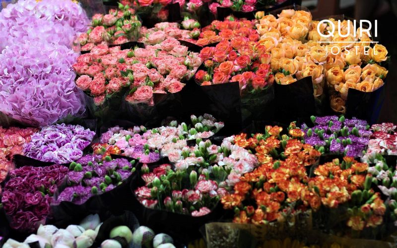 Hanoi night markets like this reveal peaceful sides of city life.