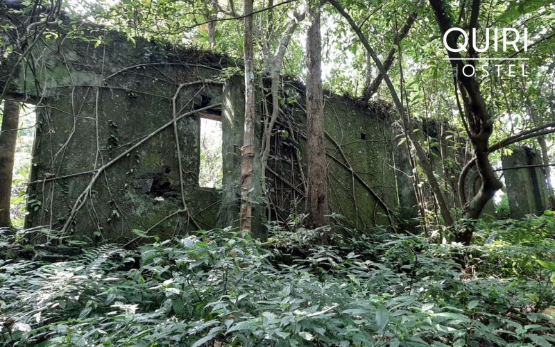 Overgrown stone corridors offer a reflective look into past colonial history.