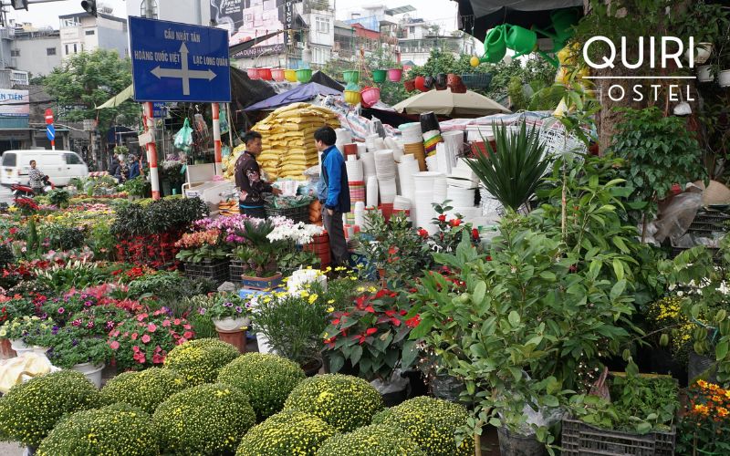 Plant vendors reflect traditions deeply rooted in ha noi market culture