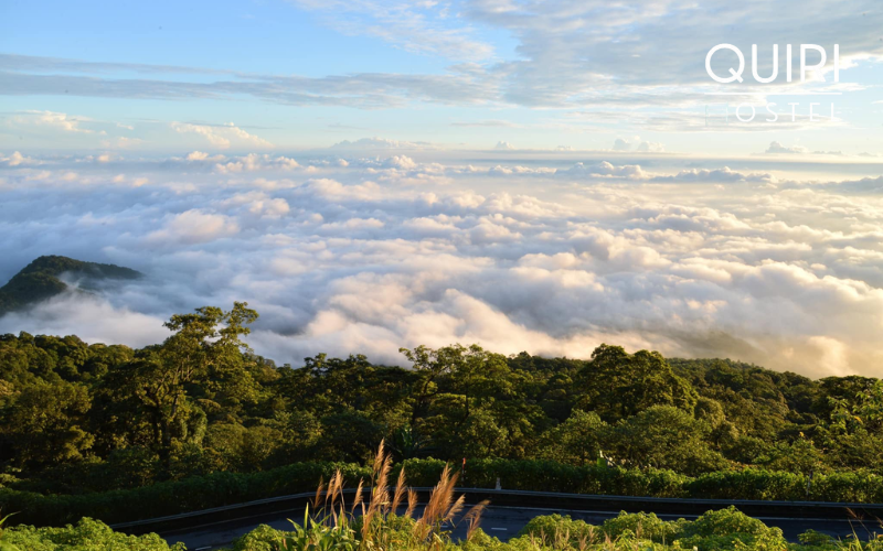 Travelers appreciate how Ba Vi National Park blends landscapes with cultural depth.