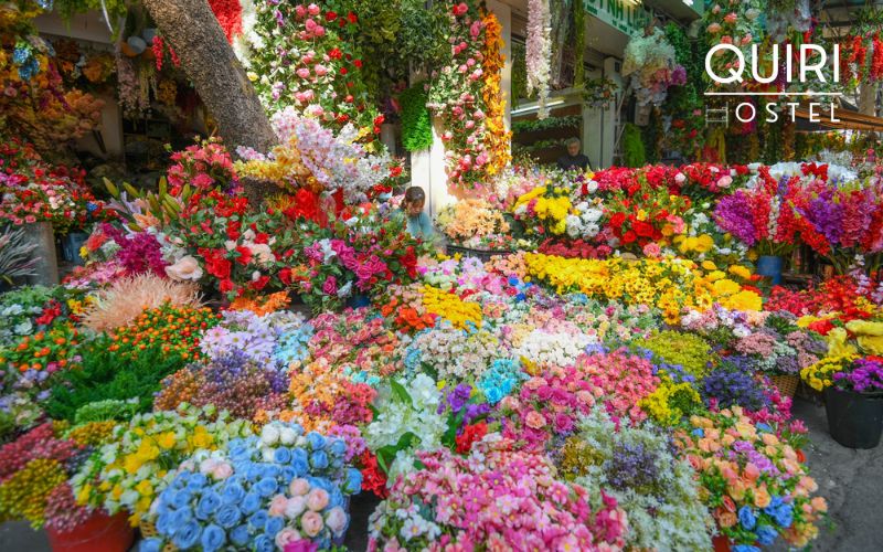 Activities in Tet holiday in Hanoi shine in flower markets.