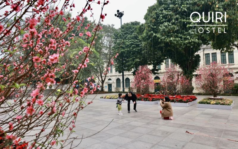 Festivals during Hanoi in february reveal authentic local celebration energy.