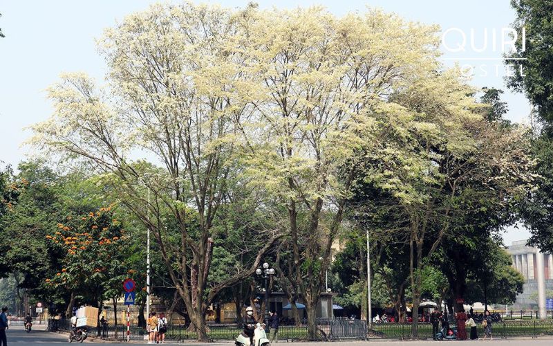 Hanoi weather in March offers mild sunshine and comfortable temperatures for outdoor exploration.