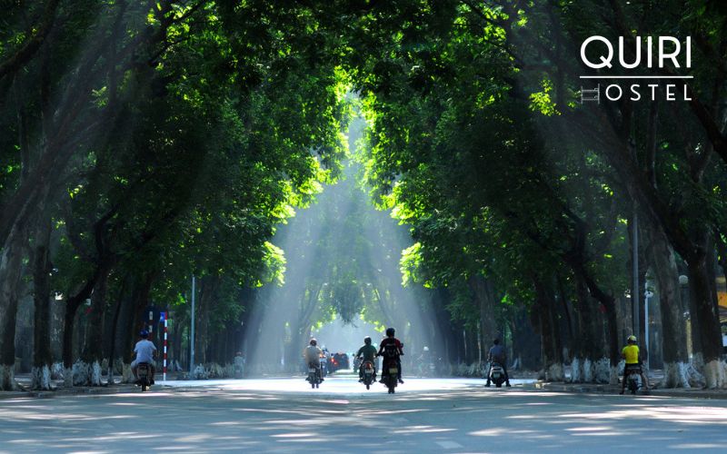 Summer reveals different best time to visit Hanoi experiences