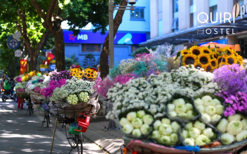 Experiences to enjoy during International Women's Day in Vietnam