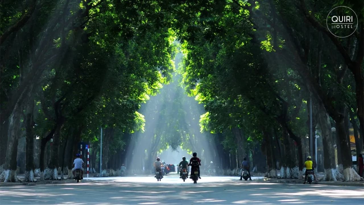hanoi-sightseeing-walking-under-green-trees-in-the-old-quarter